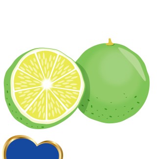 MamyPoko Premiee Care -MamyPoko Indonesia